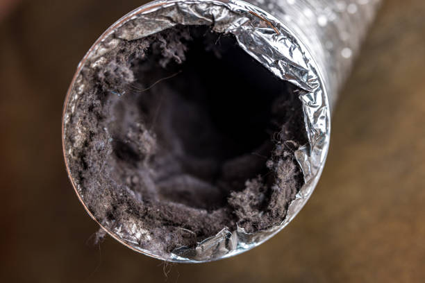 Best Air Vent Cleaning Services  in Edwards, MS